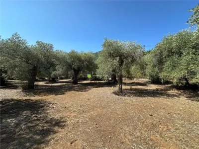 Teren intravilan pe insula Thassos, aproape de plaja salbatica - foto 3