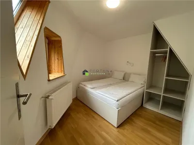 Afacere cu doua unitati deosebite Rasnov Glajerie - foto 10