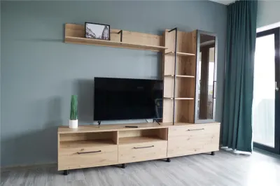 2 CAM PIATA UNIRII, TEATRU, PALAS, UMF, ULTRACENTRAL - foto 16