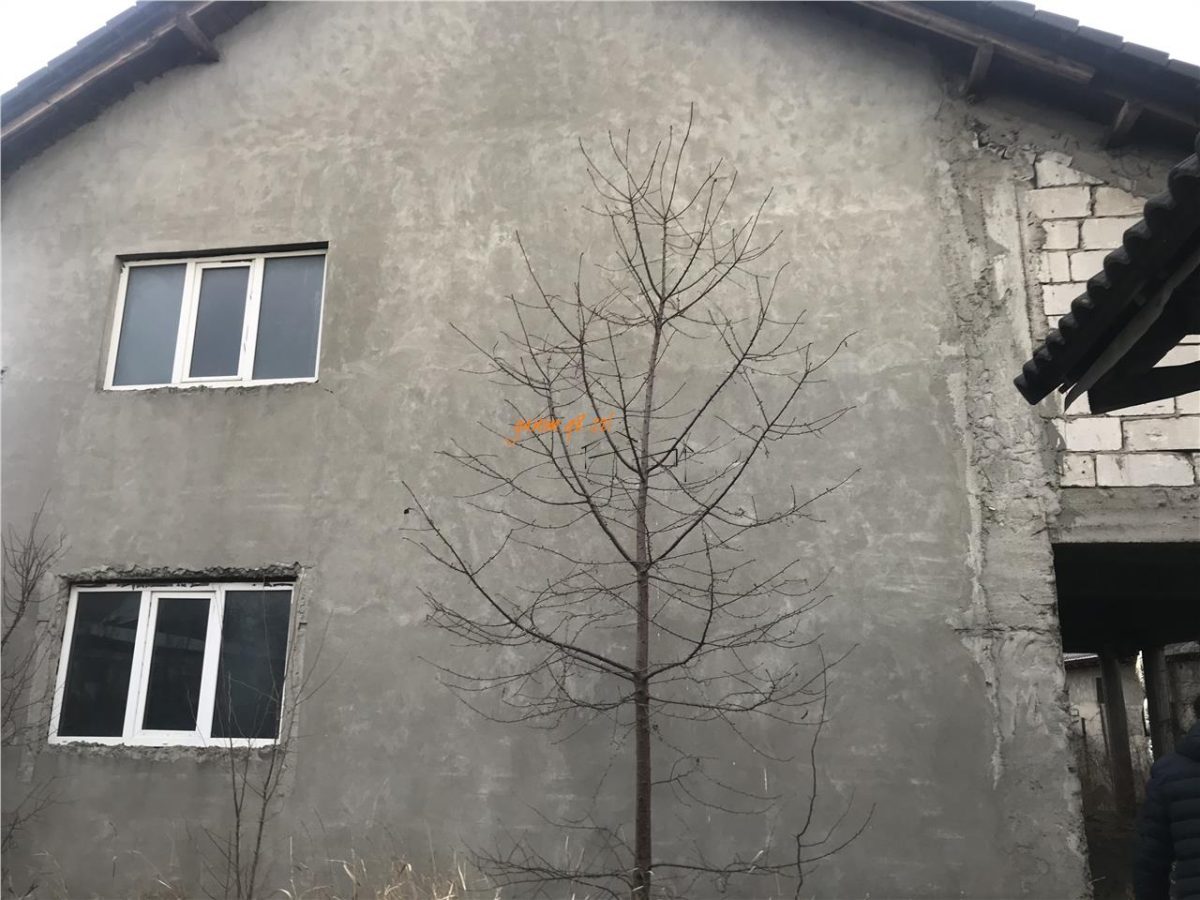 Casa de vanzare in Golesti, parter si etaj , 220 mp construiti , teren 916mp, la rosu - Golesti