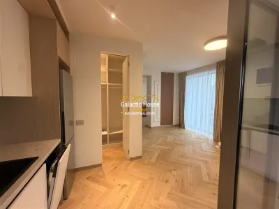 APARTAMENT APARTAMENT LUX PIATA VICTORIEI -PETRU RARES - foto 12