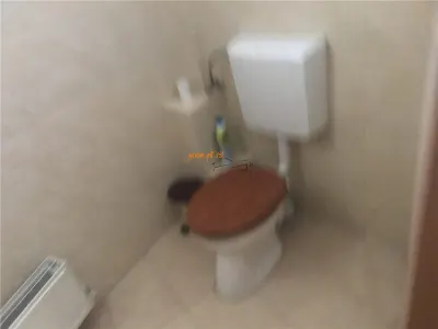 Cladire birouri  si hala , zona Golesti, suprafata teren 2365 mp - foto 10