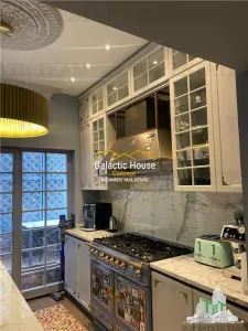 CASA SPECTACULOASA DOROBANTI CAPITALE PRETABILA FIRMA SAU REZIDENTA - foto 21