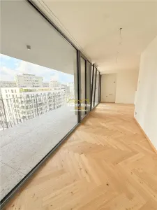 APARATMENT SPECTACULOS PIATA VICTORIEI-PETRU RARES - foto 13