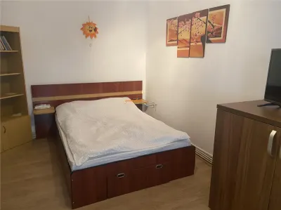 Garsoniera  de inchiriat , zona  b- dul Brailei , parter , decomandata , mobilata  si utilata , centrala termica - foto 7