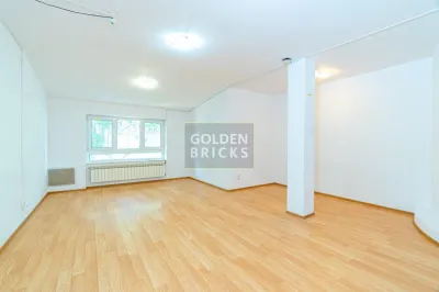 Piata Victoriei| Banu Manta | 15 camere | Metrou - foto 8