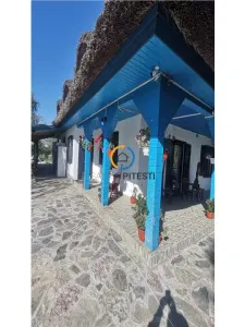 Casa traditionala / Pensiune  P+1, 9 camere, judet Tulcea, localitatea Partizani - foto 5