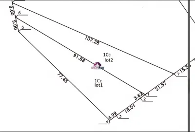 Teren Snagov Lac 1318 mp - Snagov