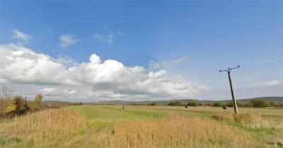Teren partial intravilan 6600 mp Sacel - foto 1