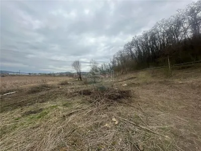 Teren intravilan si extravilan 2025 mp  Medias zona Kaufland - Medias