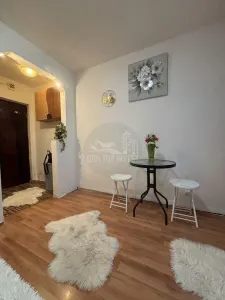 Garsoniera zona Vasile Aaron - foto 4