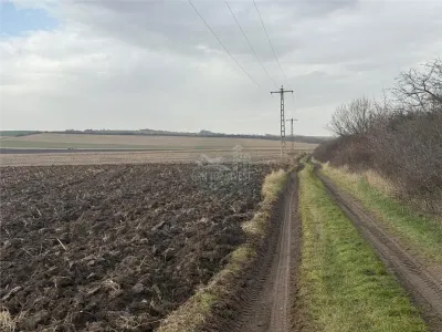 Teren extravilan in EXCLUSIVITATE 20300 mp in Sura Mica - Sura Mica