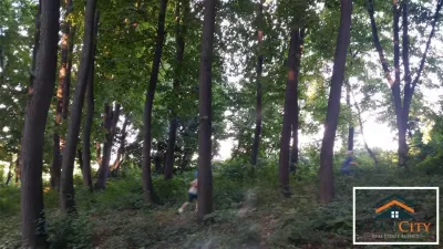 Teren deosebit, Iasi - foto 3