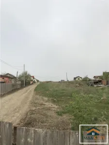 Horpaz, la asfalt, 10000 mp teren - Miroslava