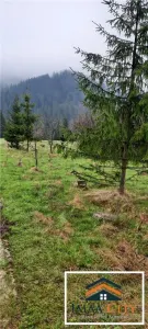 Garsoniera 30 mp, Podul de Piatra - foto 4