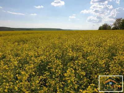Exclusivitate!!!Oportunitate investitie, ferma agricola, Iasi - Baltati