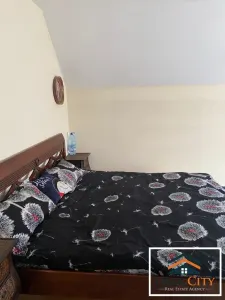 Vila cocheta, 170 mp , Valea Lupului - foto 12
