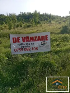 Terenuri intravilane\ extravilane Husi - Husi