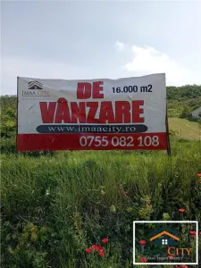 Terenuri intravilane\ extravilane Husi - foto 4