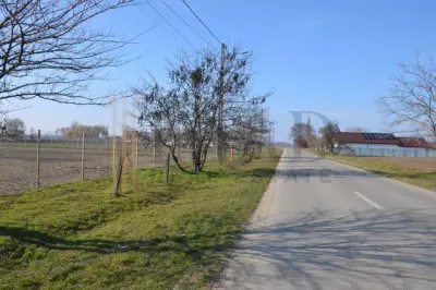 Vanzare Teren intravilan, 5600 mp in Mircea Voda - Dambovita. - Mircea Voda