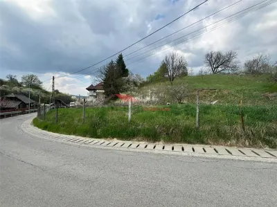 Teren intravilan 31 ari, Valea Budacului - Bistrita