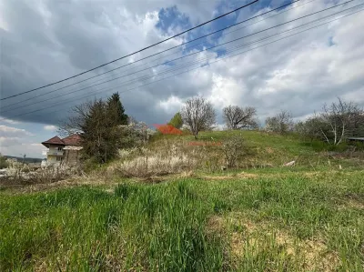 Teren intravilan 31 ari, Valea Budacului - foto 4