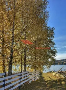 Teren intravilan, iesire Lac - foto 2