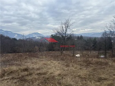 Teren cu 2 izvoare,  Prundul Bargaului - foto 5