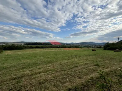 Teren pt cabana 35,5 ari, Beclenut - foto 3