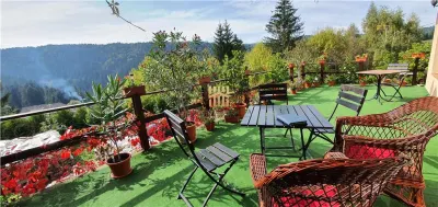 Casa Raluca! -  Statiunea Durau! - foto 17