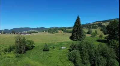 Teren in Bucovina! La Munte! De vanzare! 0727817187 - foto 3