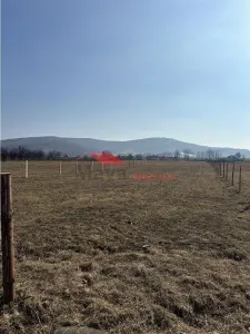 Teren 40 ari Intravilan, Livezile - foto 2