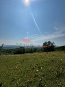 10 ari teren extravilan, zona cartier RAAL - foto 3