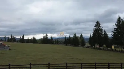 Teren 2804 mp, la munte! In Bucovina – Fundu Moldovei! - foto 16
