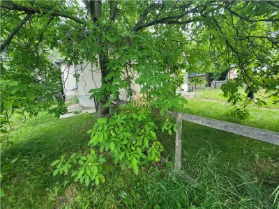 Casa Orheienilor! - foto 4