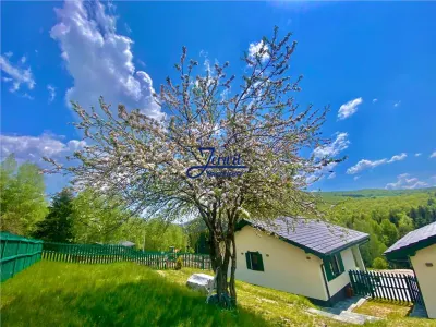 casa Trei Ape - foto 2