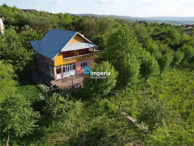Casa deosebita in mijlocul naturii, cu teren generos si priveliste panoramica - Iasi