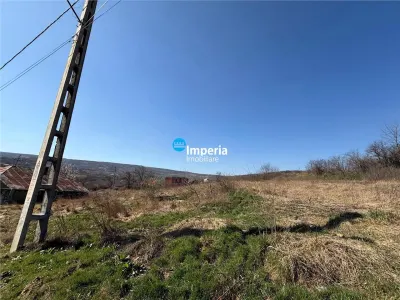 Loturi teren intravilan,sat Goruni - com.Tomesti,de vanzare. - foto 2