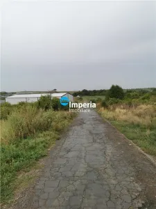 Teren intravilan de vanzare Visan 6380 mp - foto 4