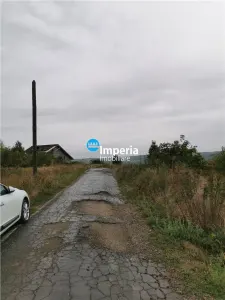 Teren intravilan de vanzare Visan 6380 mp - foto 5
