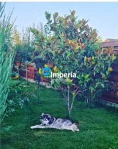 Casa de vanzare in Iasi, zona BREAZU - foto 15