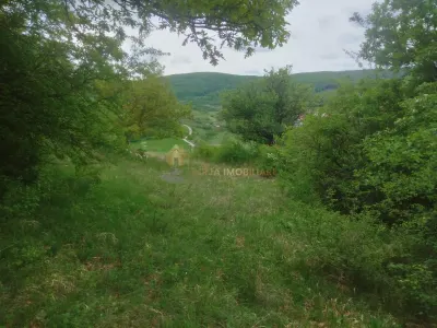 teren extravilan 3640 mp Strada Stejarului - foto 10
