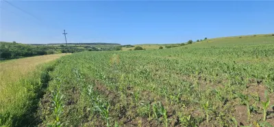 TEREN INTRAVILAN 5800 MP SUCEAGU - foto 2