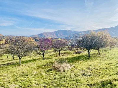 Teren intravilan 1200 mp | Marginimea Sibiului | Sibiel | priveliste superba - Sibiel