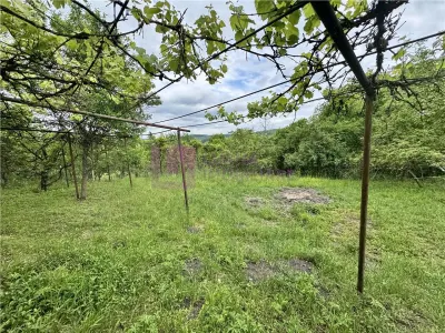 Casa individuala de vanzare in Nucet | Rosia | teren 1526 mp | livada, pivnita - Nucet