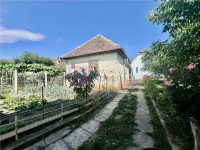 Casa de vanzare  | 2 constructii | 540 mp teren |  zona Lupeni | pivnita - foto 10