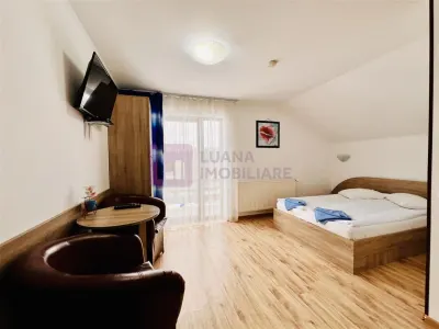 Afacere la cheie | Vila de 3 stele | Paltinis | amenajata complet - foto 8