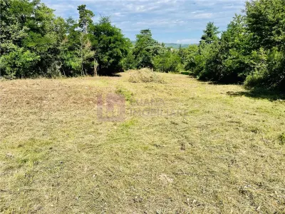 Teren 3581 mp | Marginimea Sibiului | priveliste superba - foto 11