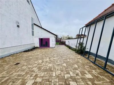 Casa individuala de inchiriat | Terezian | garaj | panouri fotovoltaice | pompa caldura | video - foto 11