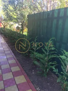 Vila individuala de inchiriat Pipera rond OMV - foto 13